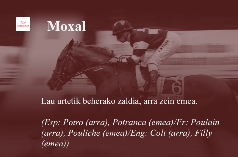 Moxal